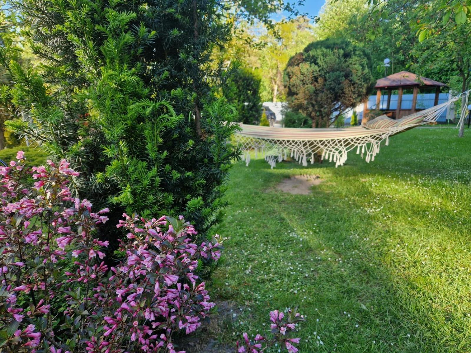 Villa Zenko Брюховичи Экстерьер фото